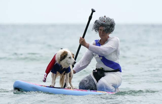 UK Dog Surfing Championships