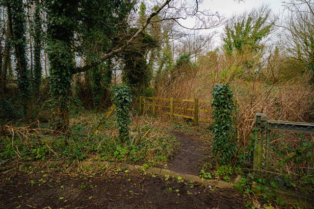 Logan Mwangi evidence site