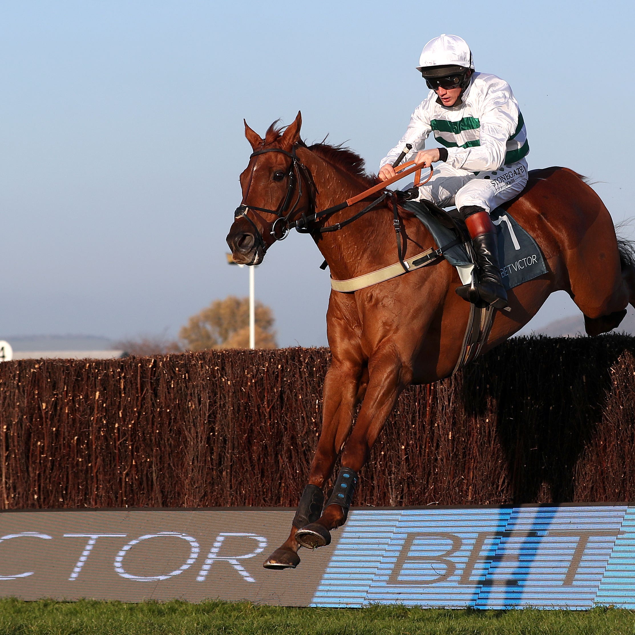 Baron Alco made all the running in November