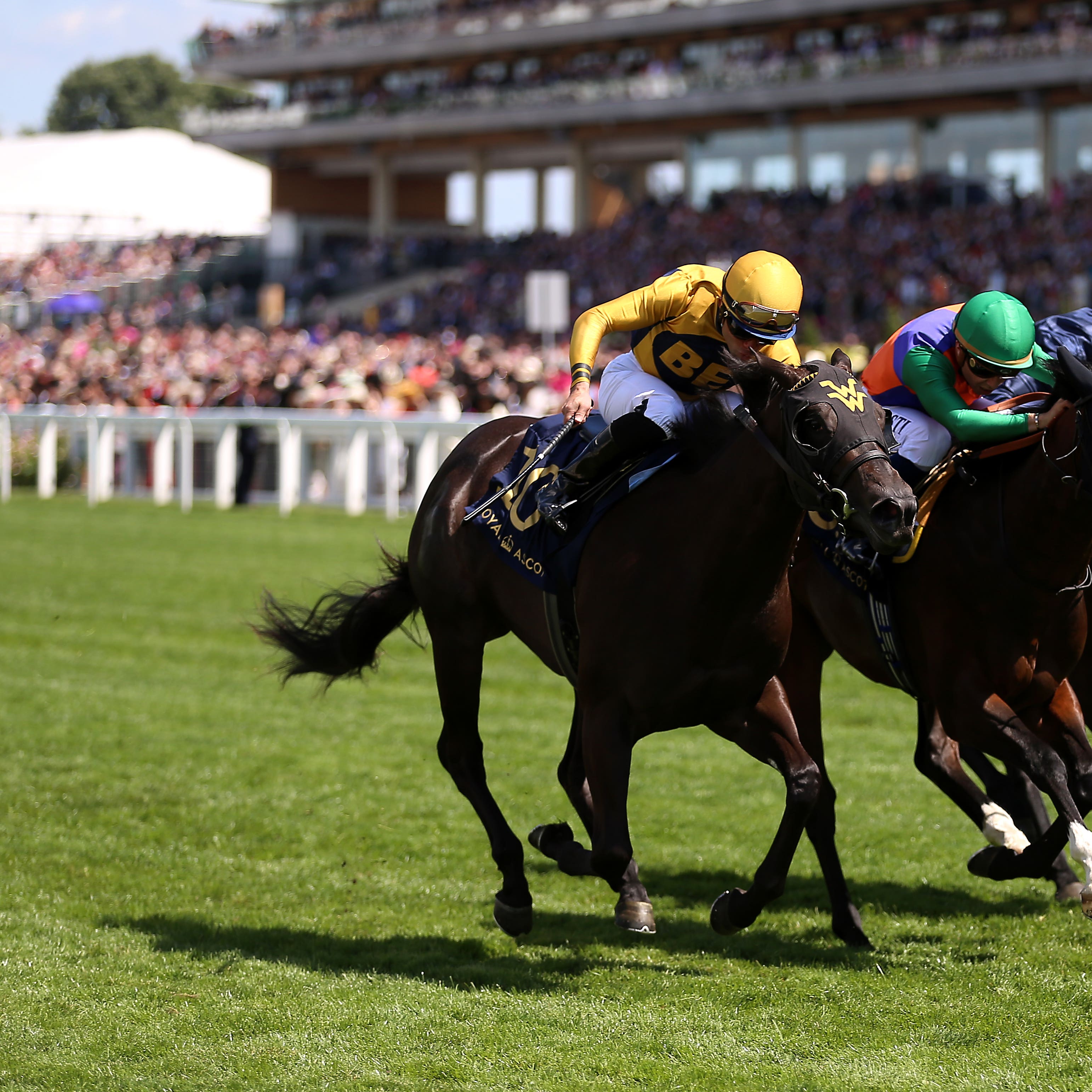 Shang Shang Shang (left) holds off Pocket Dynamo in the Norfolk Stakes