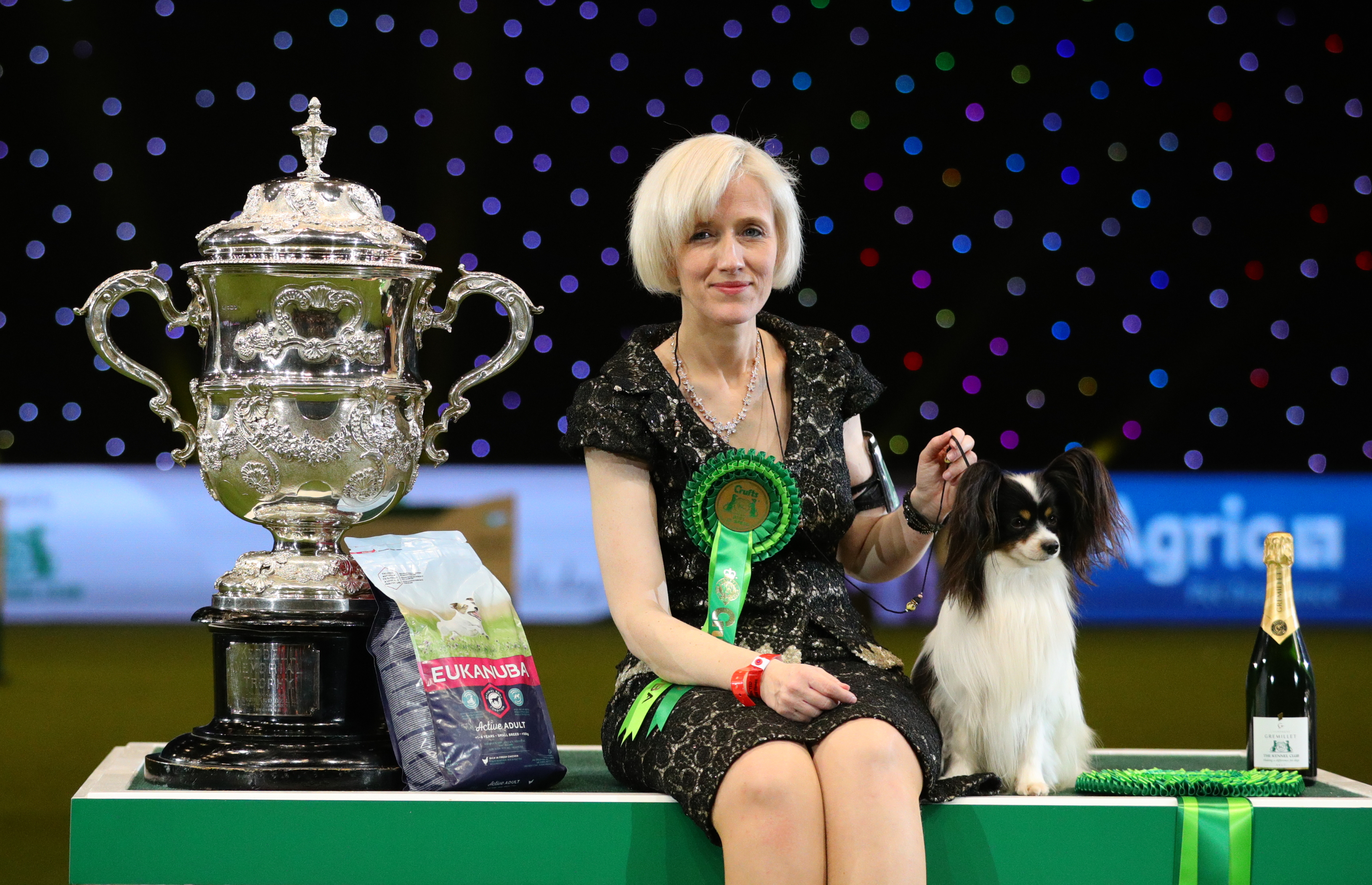 Dylan crufts hot sale winner