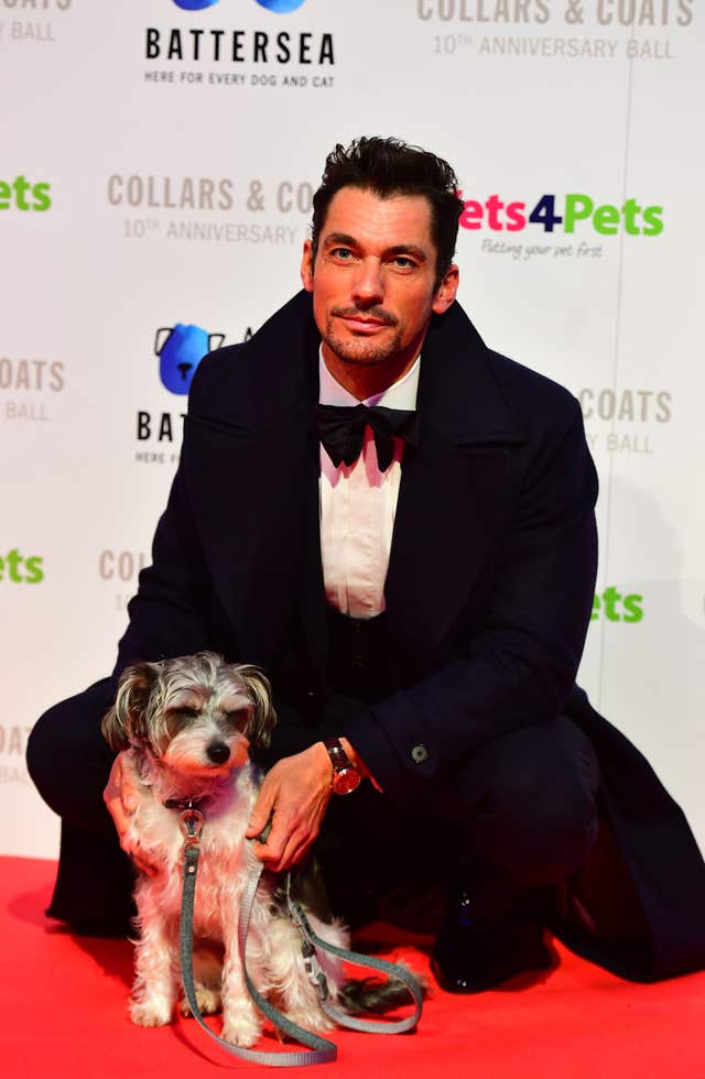 Battersea Dogs & Cats Home Collars & Coats Gala Ball 2018