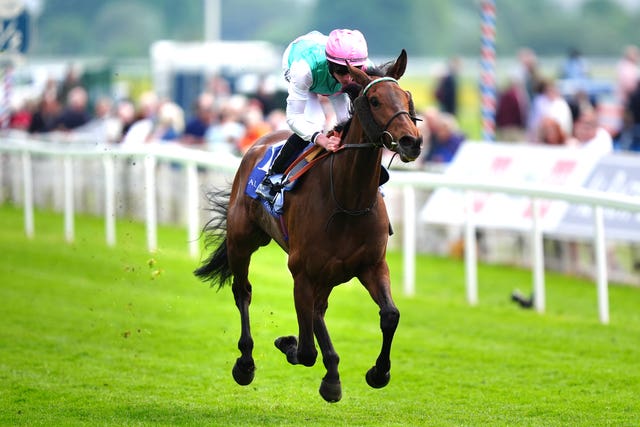 Bluestocking has already won once at York this season 