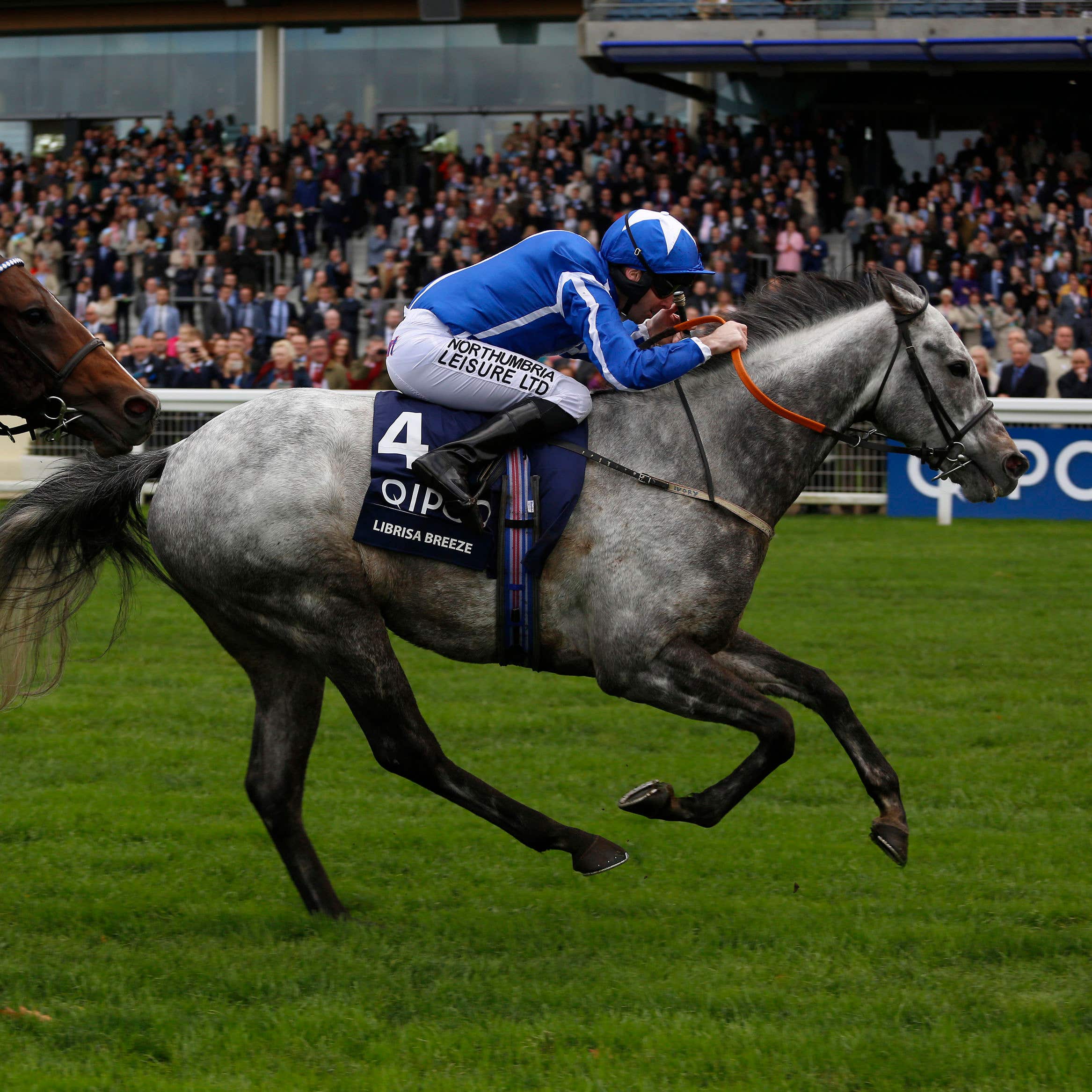 Librisa Breeze wins the Qipco British Champions Sprint at Ascot last year