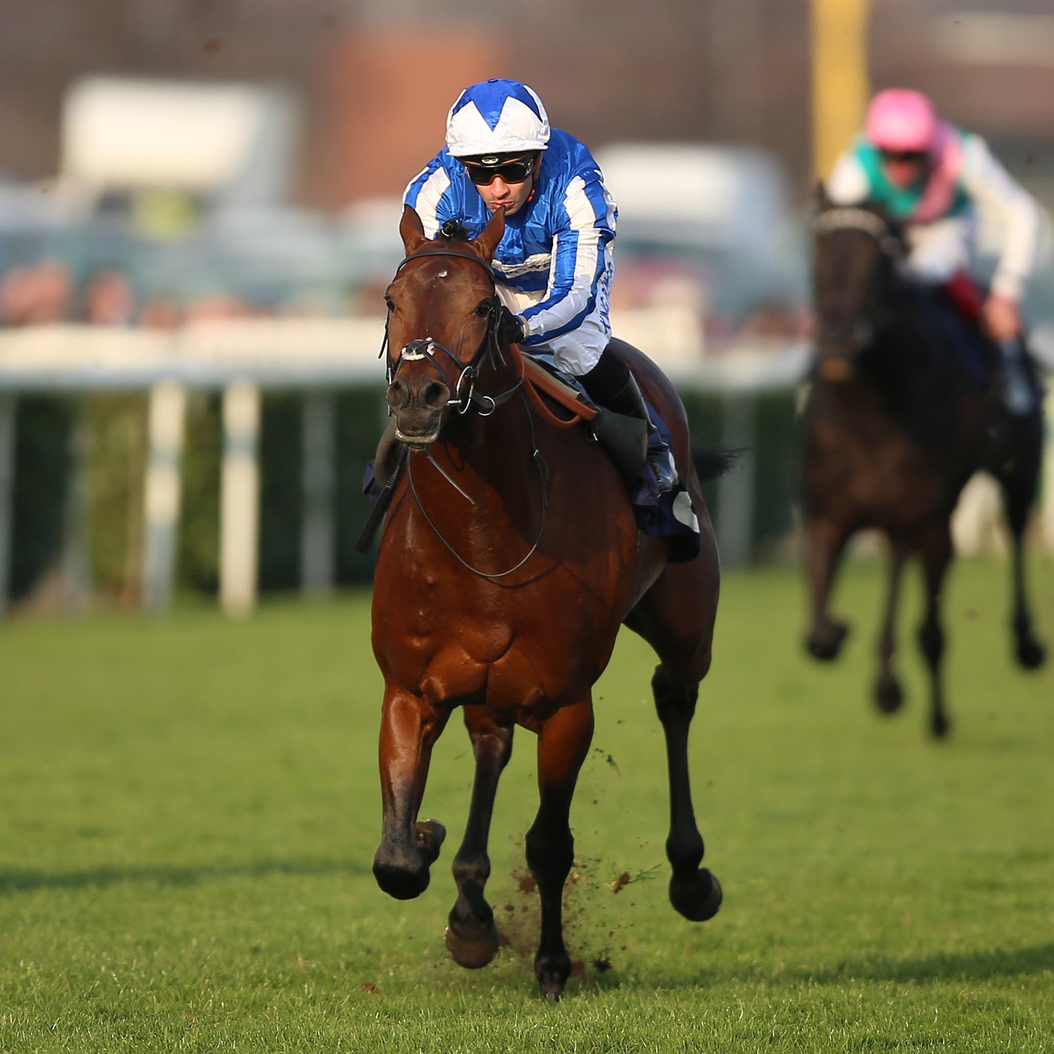 Bangkok's form at Doncaster is working out well