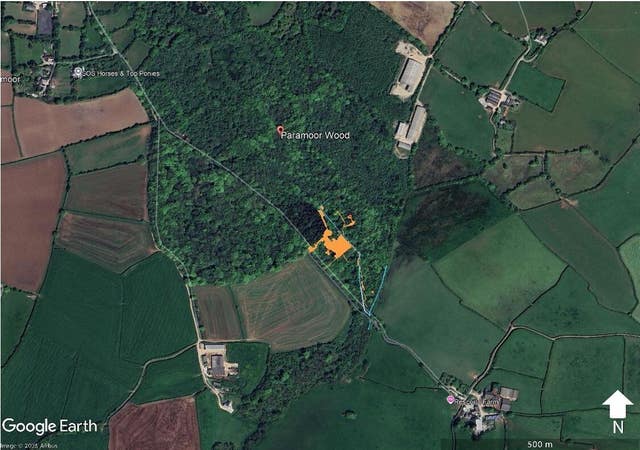 A map of the woods