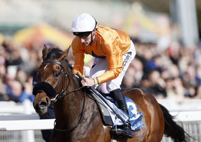 Prydwen could take part in the Gold Cup at Royal Ascot