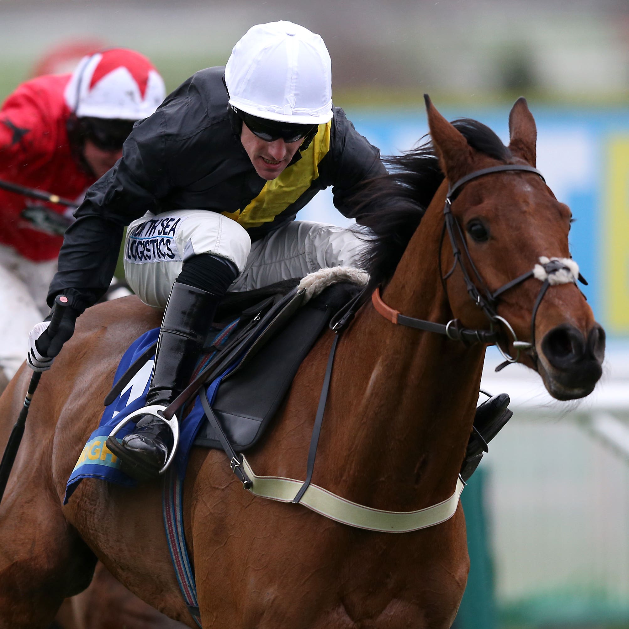 Seeyouatmidnight winning at Cheltenham