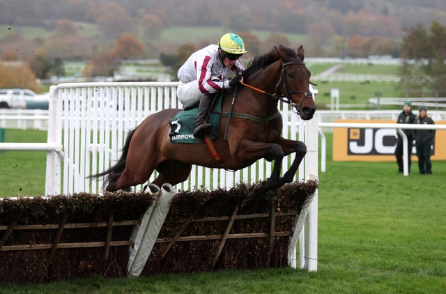 Buddy One winning the Paddy Power Games Handicap Hurdle at Cheltenham earlier in the season