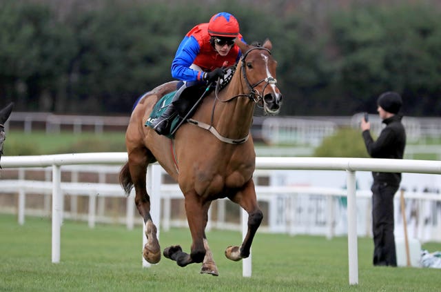 Facile Vega looks to bounce back at the Cheltenham Festival 