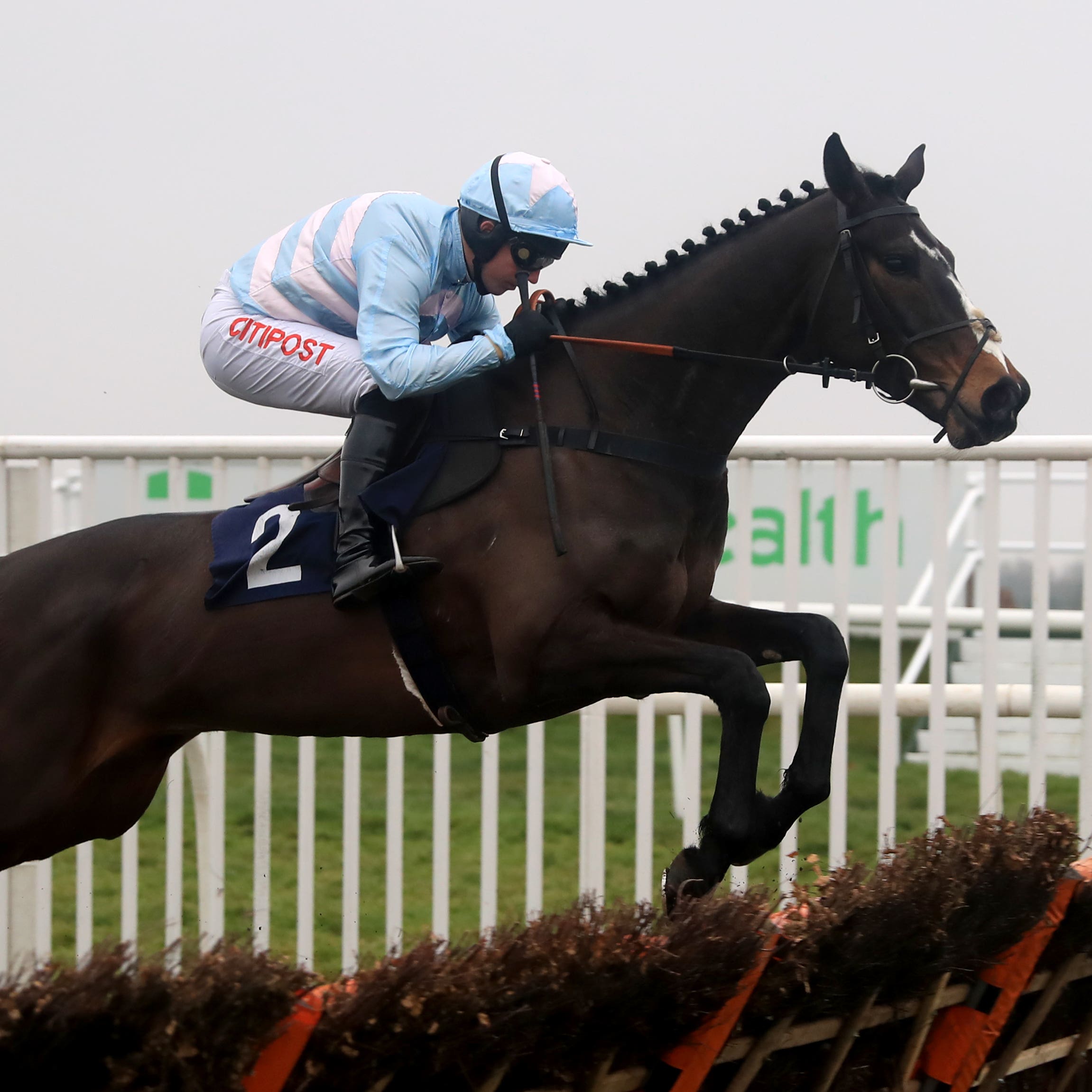 Black Op is an exciting recruit to chasing