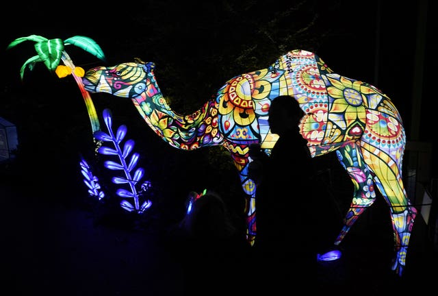 Wild Lights at Dublin Zoo