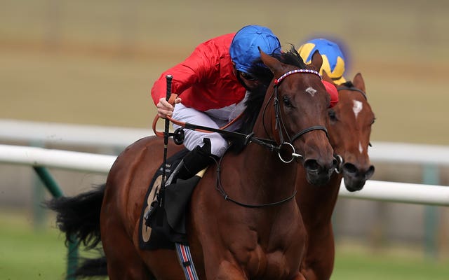 Sacred is a leading Flying Childers contender for William Haggas