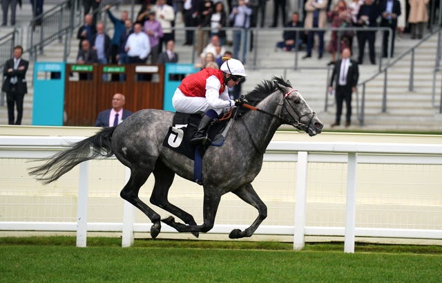 Jasour was a winner at Ascot earlier this year 