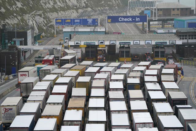 Freight lorries queuing at the port of Dover in Kent on Saturday (Gareth Fuller/PA)