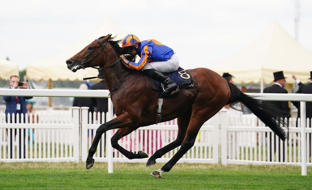 Paddington at Royal Ascot 