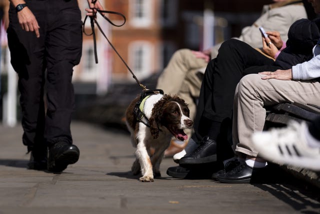 A police dog carrying out security searches in Windsor ahead of the state visit by US President Donald Trump