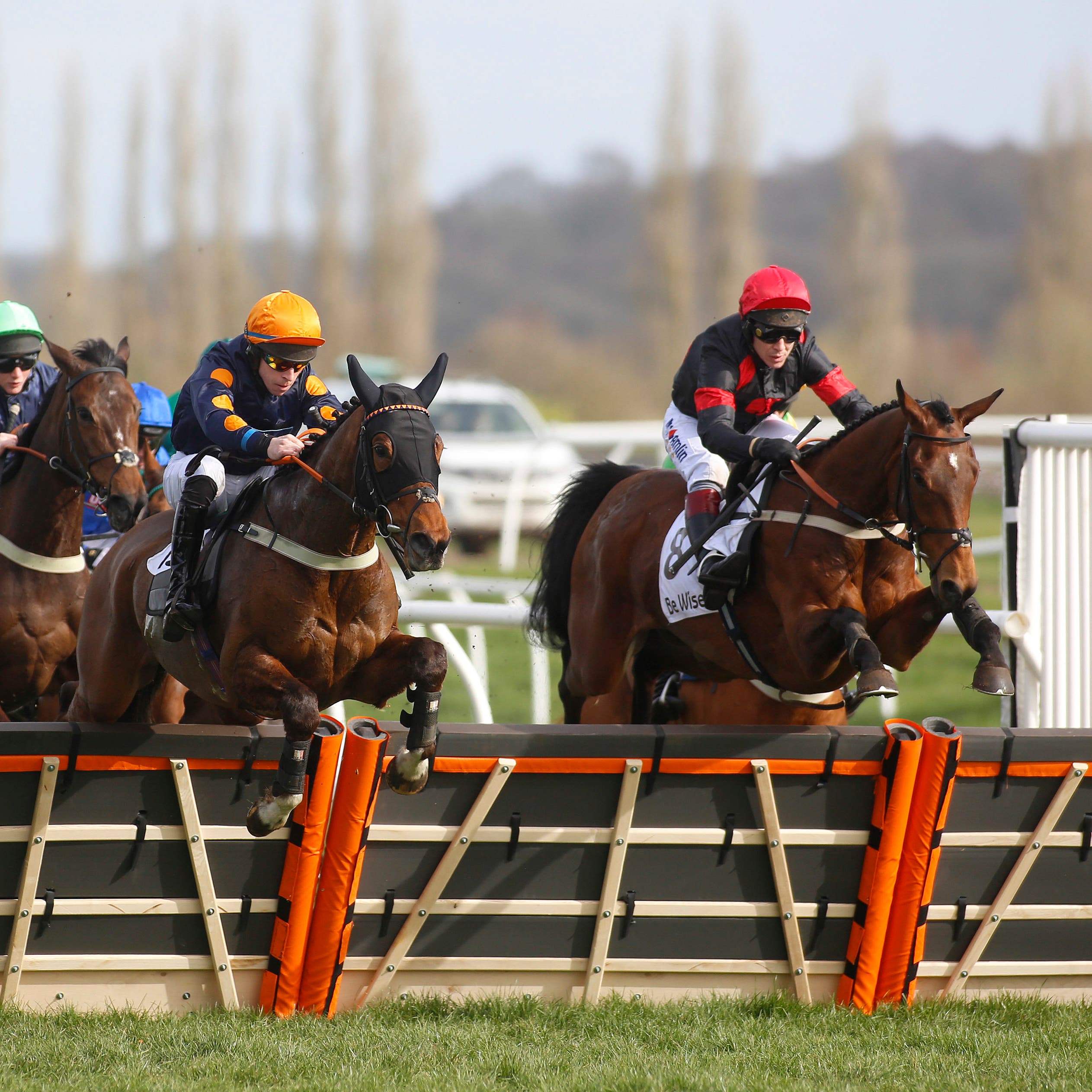 The Knot Is Tied (right) and Richard Johnson clear an early flight on the way to victory at Newbury