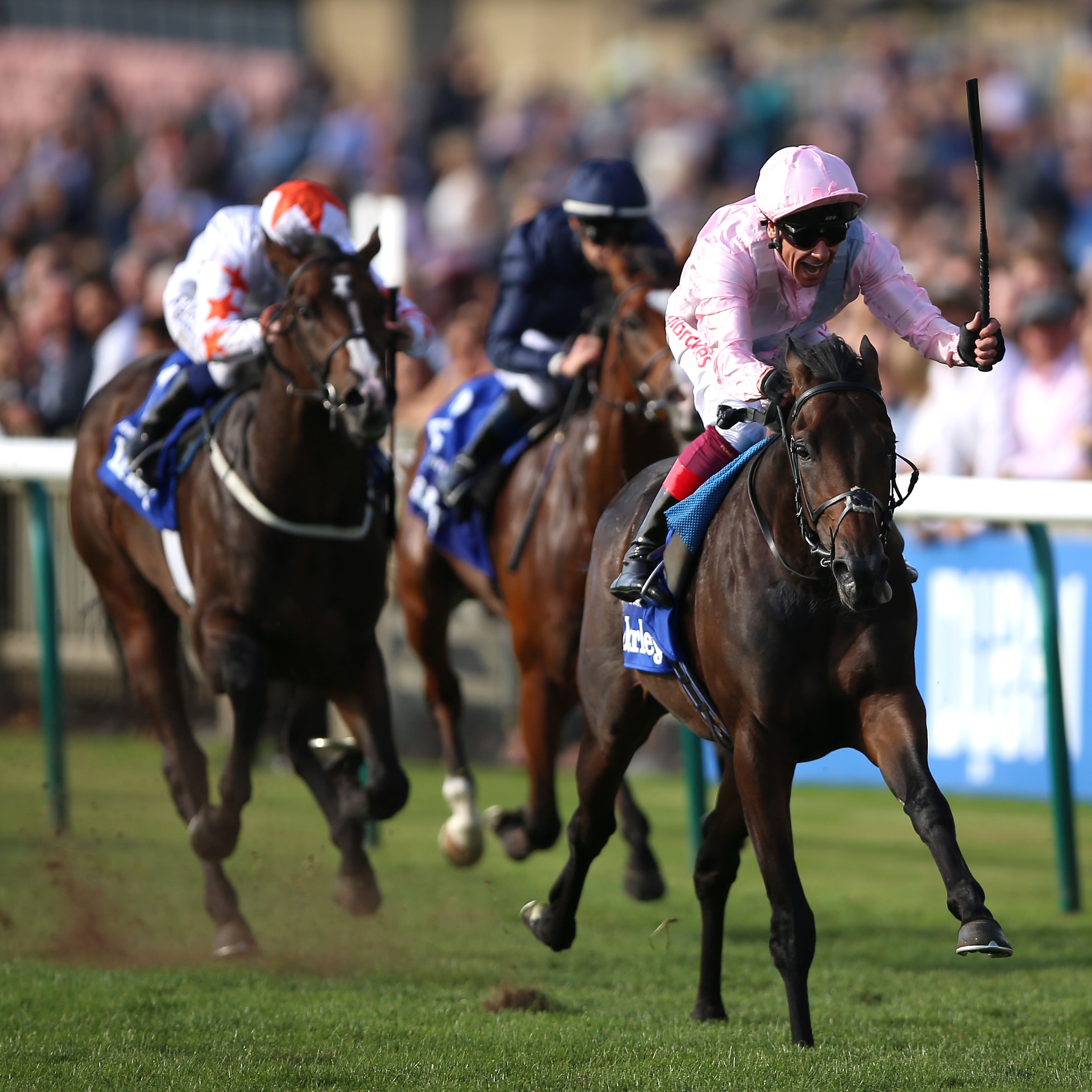 Too Darn Hot burns off the opposition in the Dewhurst Stakes at Newmarket