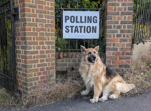 A dog waits for its owner outside the polling station at Coulsdon Memorial Park, Croydon during voting in the 2024 General Election.