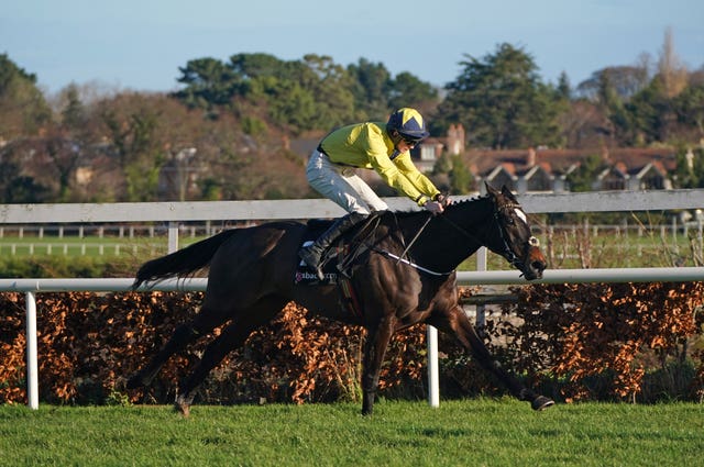 Good Land in action at Leopardstown 