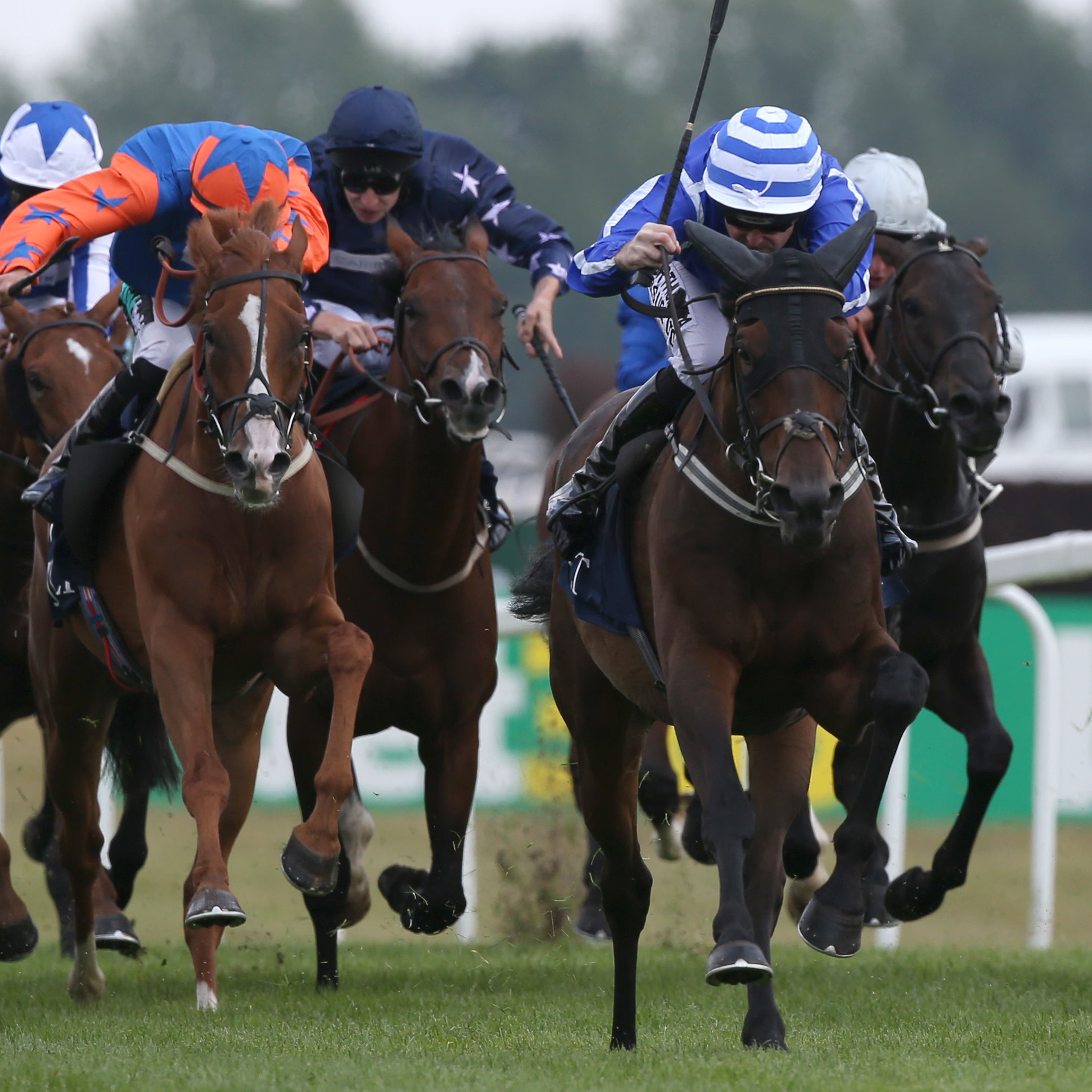 Stratum (right) one of seven Cesarewitch possibles for trainer Willie Mullins