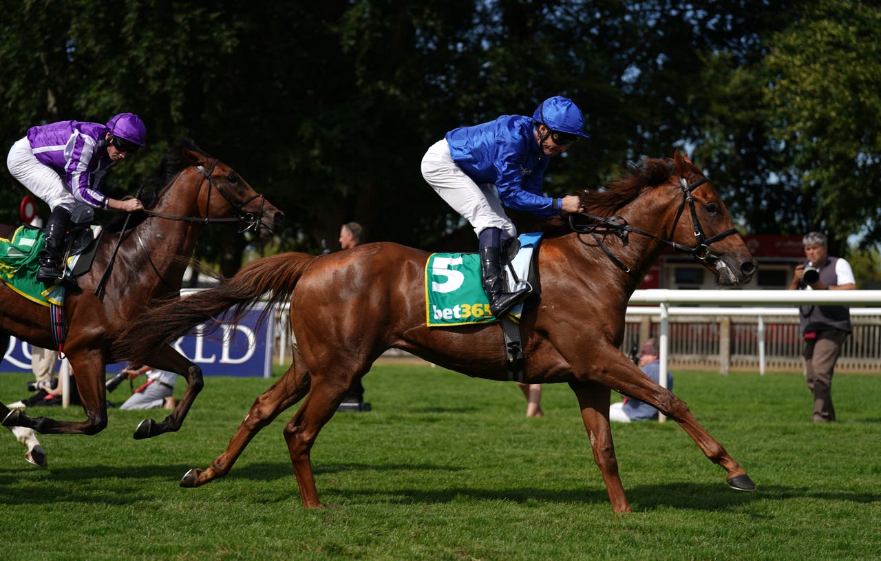 Saba Desert swoops for Superlative strike | Runcorn and Widnes World