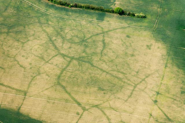 Festival of Archaeology