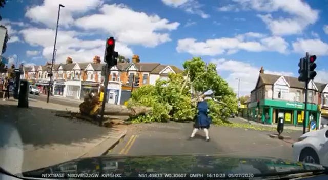 The tree lies across the junction