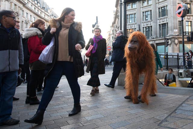 Iceland followed up its planned advertising campaign with an animatronic orangutan taking to the streets (David Parry/PA)