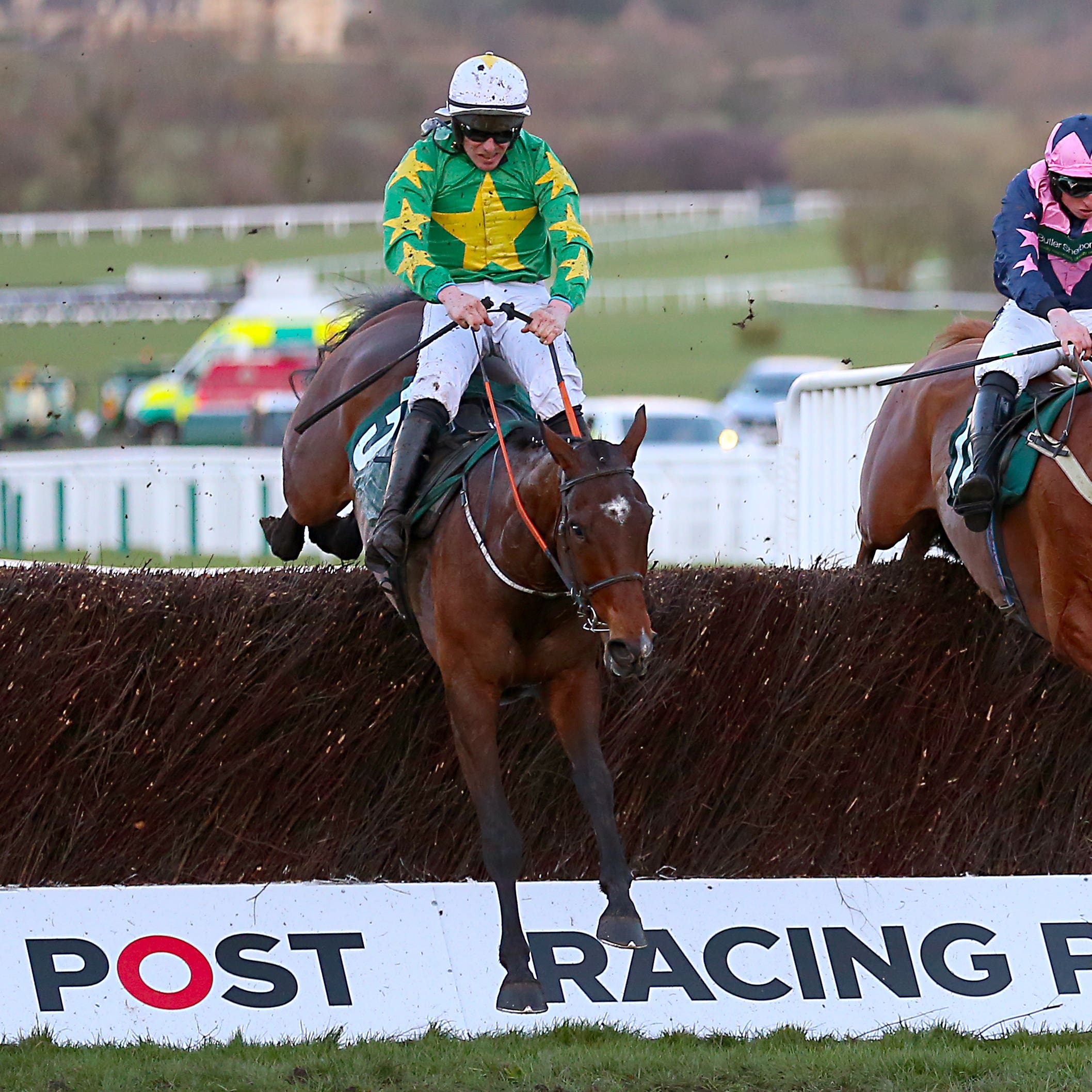 Discorama (left) was a brave runner-up in Cheltenham's National Hunt Chase last week