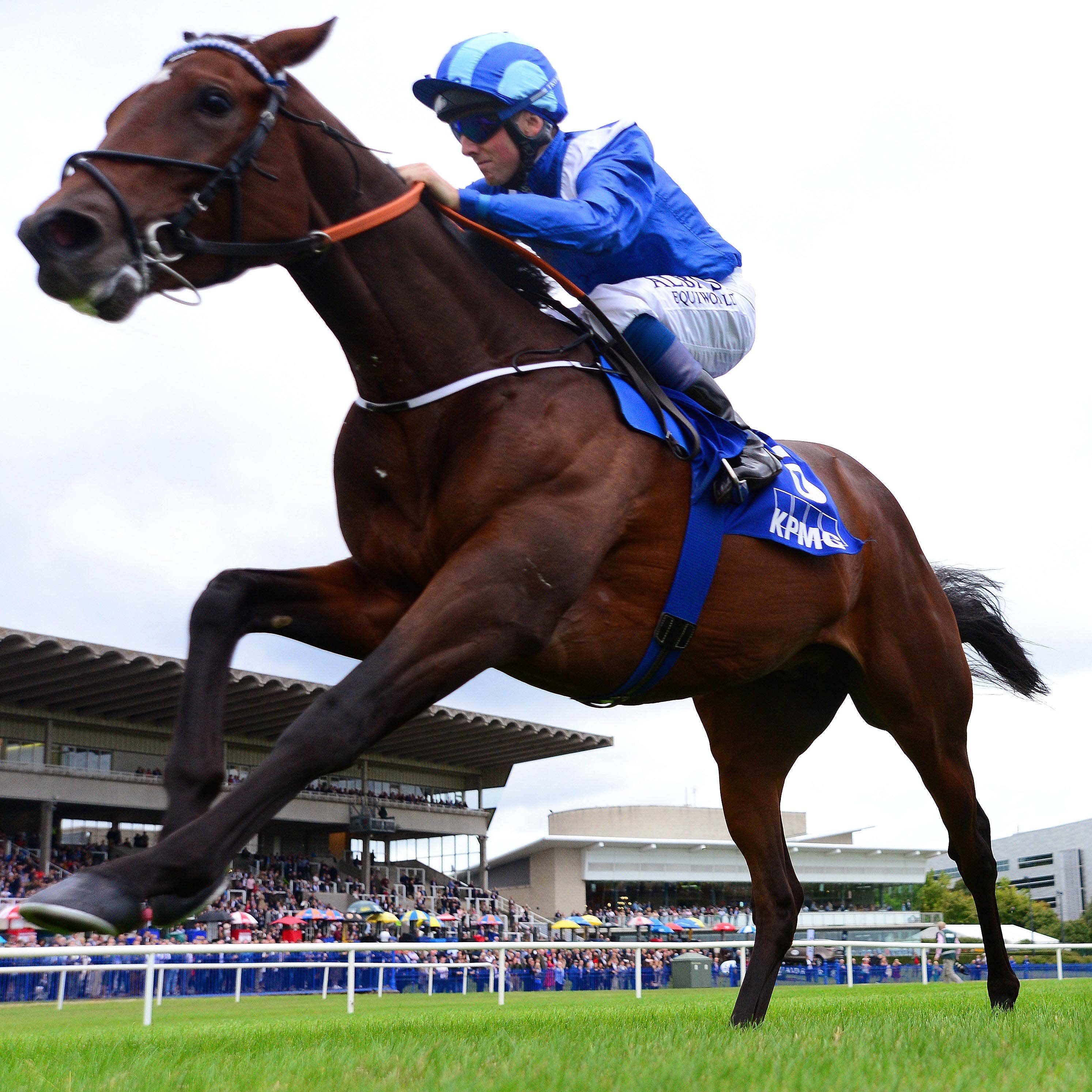 Madhmoon and Chris Hayes win the KPMG Champions Juvenile Stakes at Leopardstown