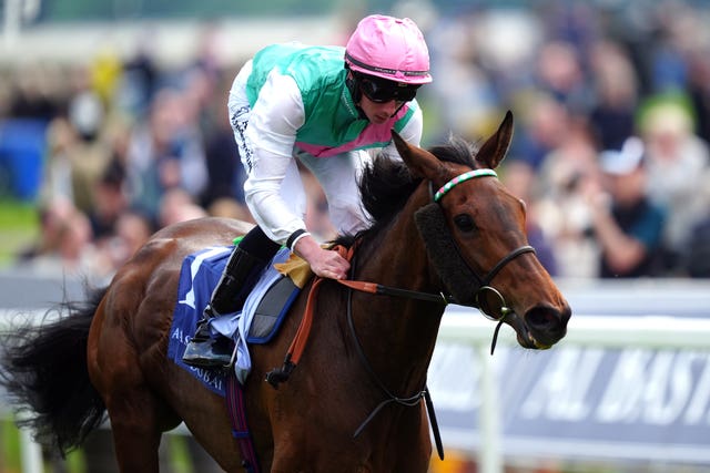 A return to York is an option for Bluestocking 