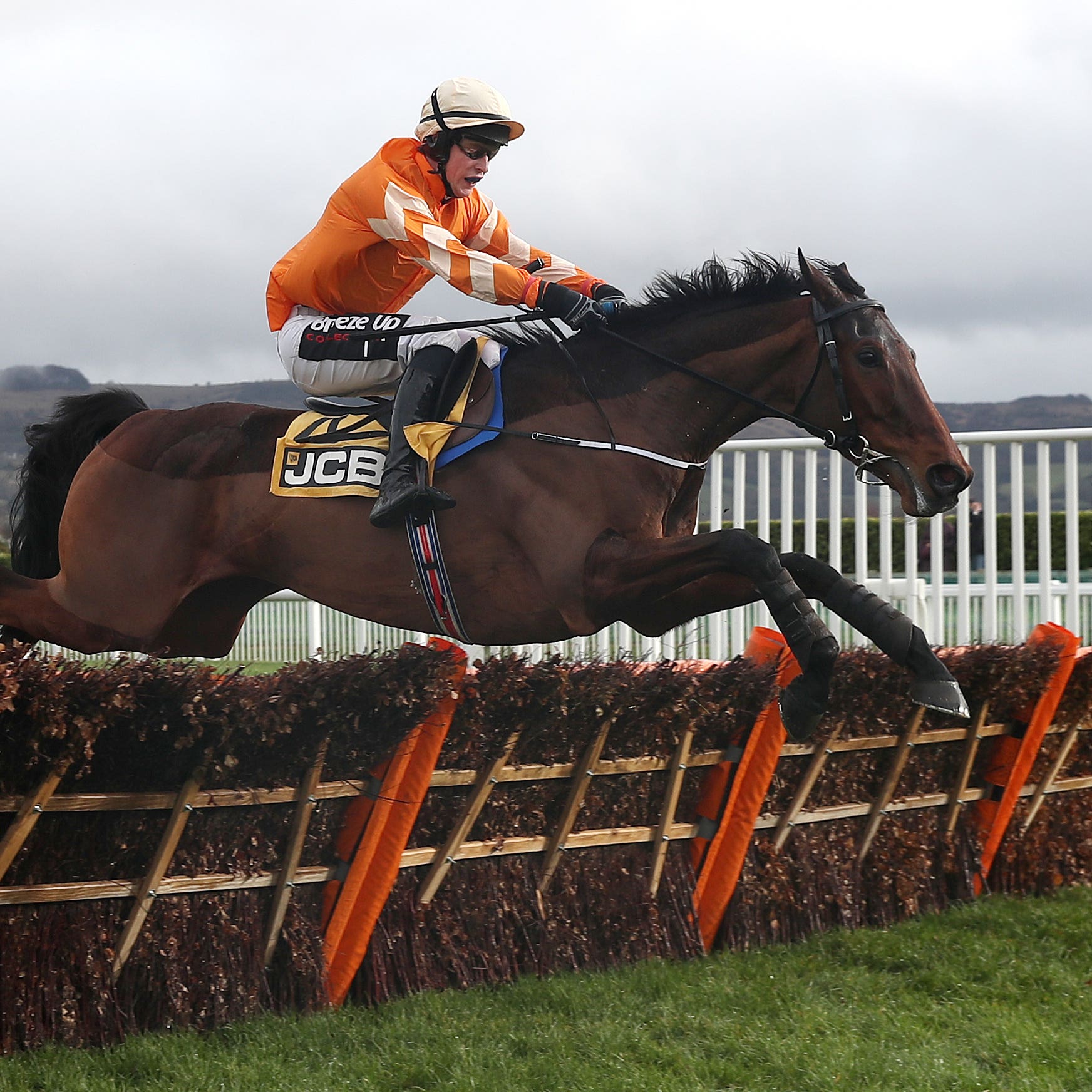 Fakir D’Oudairies on his way to winning at Cheltenham