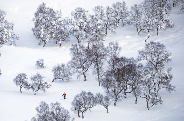 A lone skier skis down the lower slopes of the Carn nan Sgliat, in Braemar, Aberdeenshire after it saw temperatures drop to minus 23C in February 2021
