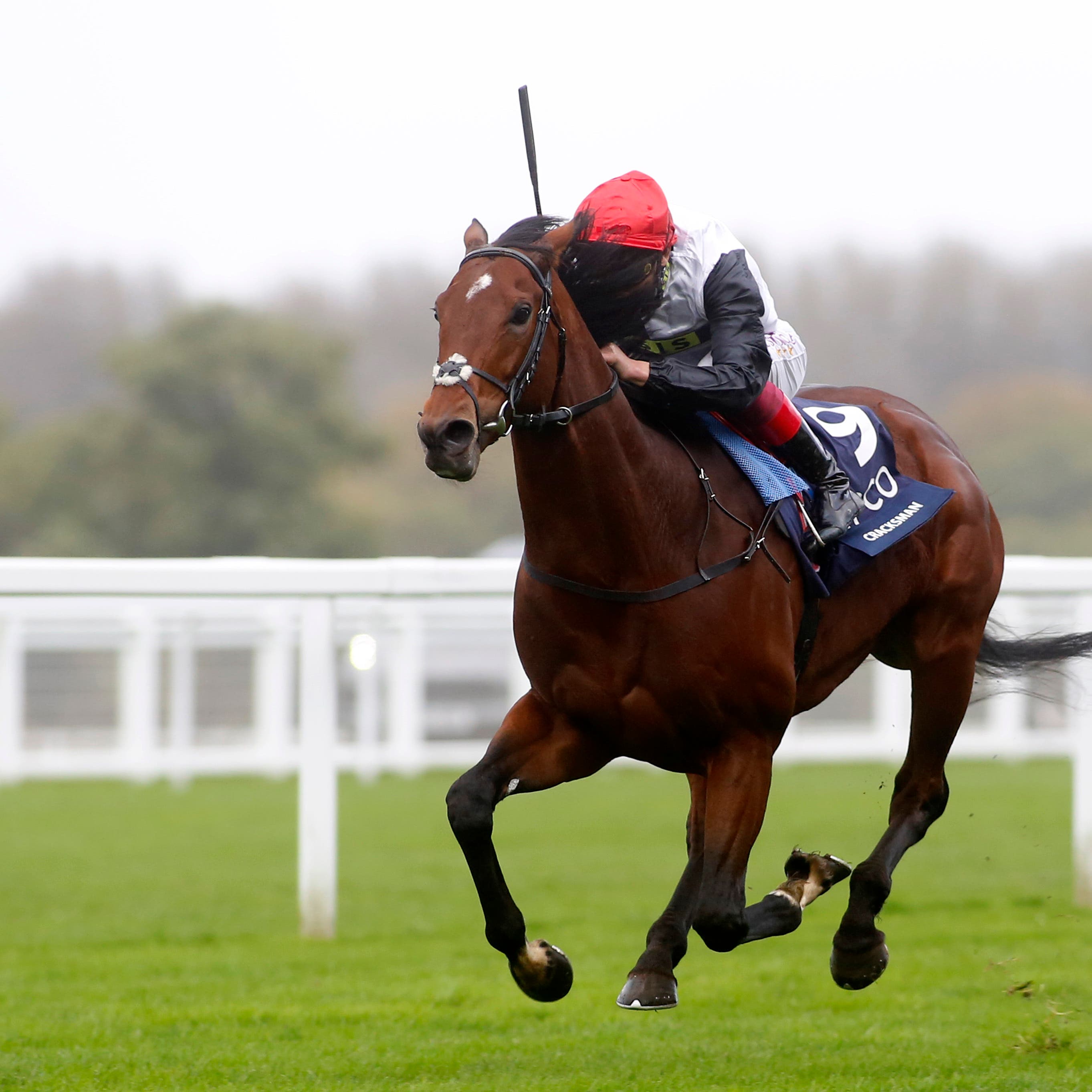 Cracksman was sensational in winning the Champion Stakes last year