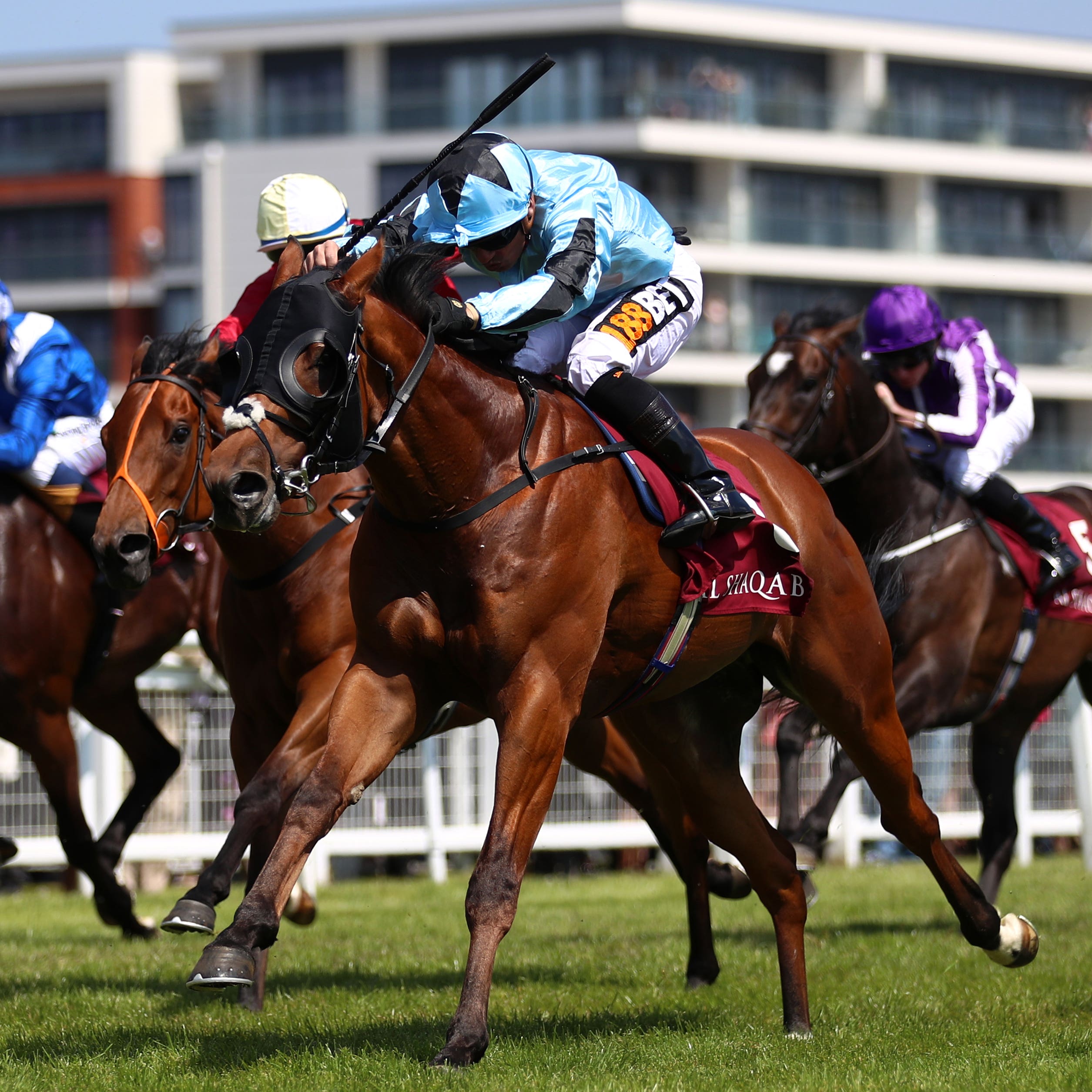 Never Back Down wins the Shalaa Carnarvon Stakes at Newbury (Tim Goode/PA)