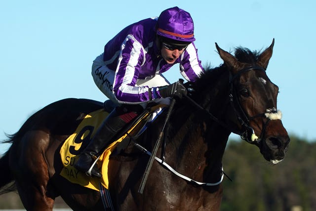 High Definition winning on his hurdling debut at Leopardstown