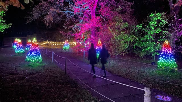 Marwell Zoo’s Glow lights installation