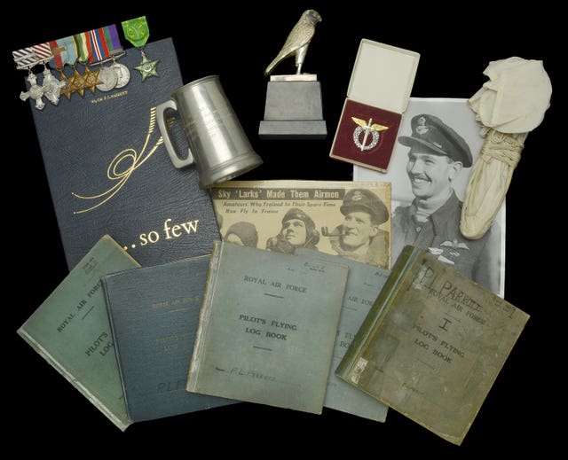 Medals awarded to RAF ace to be auctioned