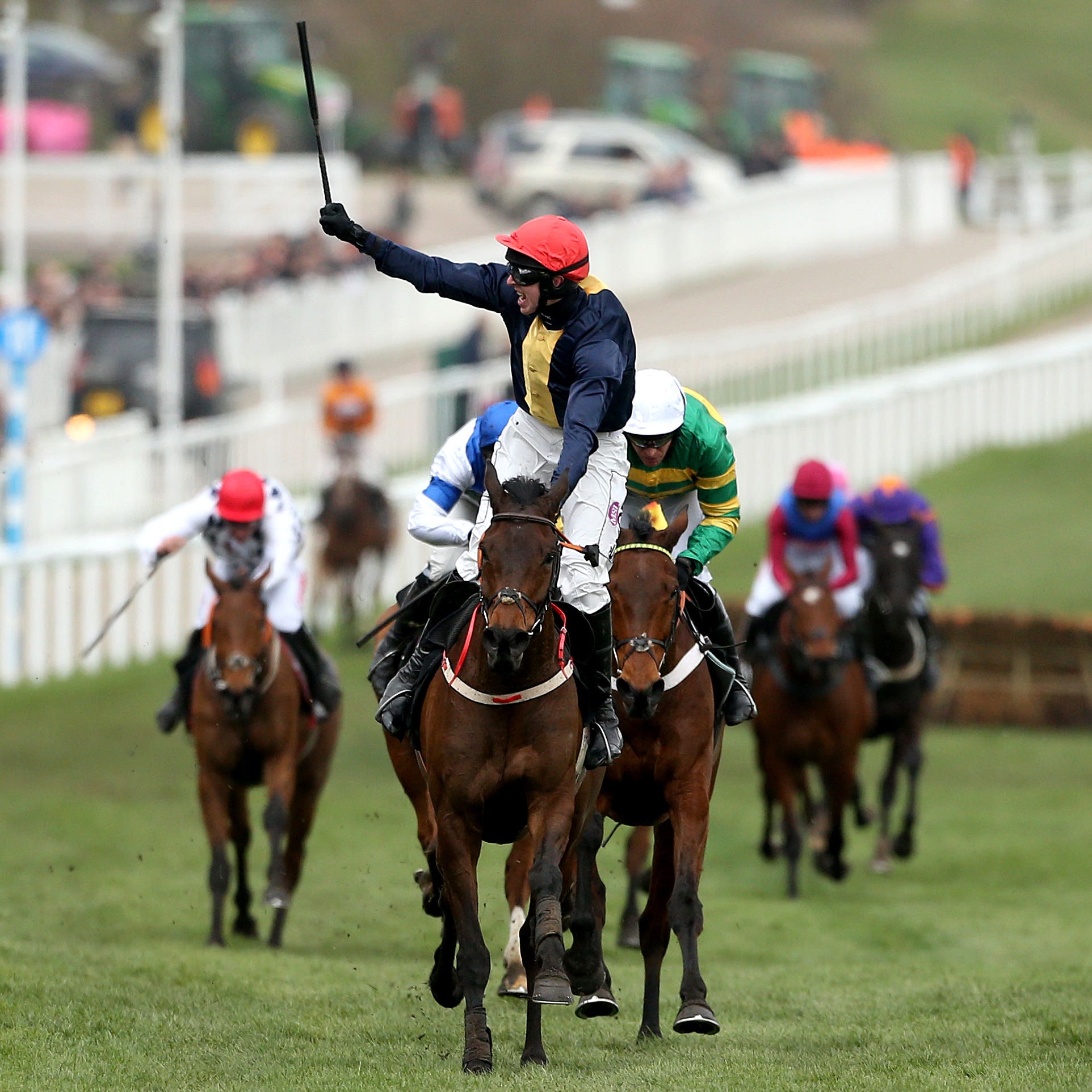 City Island wins the Ballymore Novices' Hurdle at Cheltenham