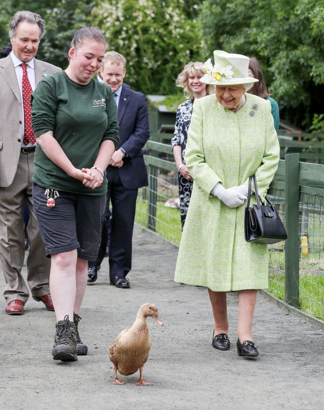 Olive the duck and the Queen