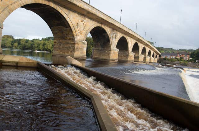 Salmon in the River Tyne