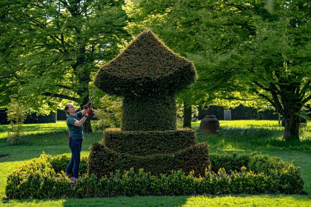 A gardener trims a bush