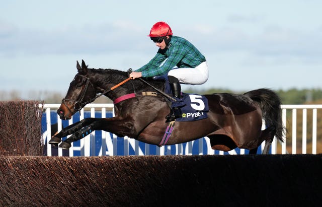 Bucksy Des Epeires in full flight at Ascot 