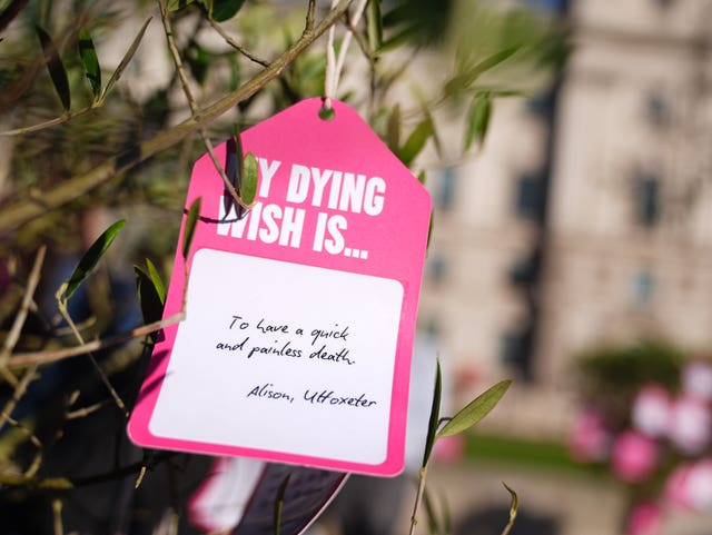 A ‘dying wish’ tied to a tree in Parliament Square