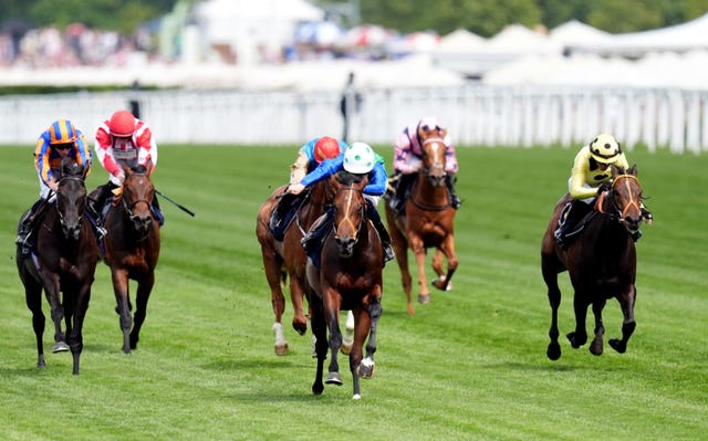 Rashabar winning at Royal Ascot in the summer