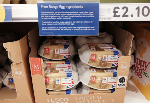 Egg boxes left on a supermarket shelf