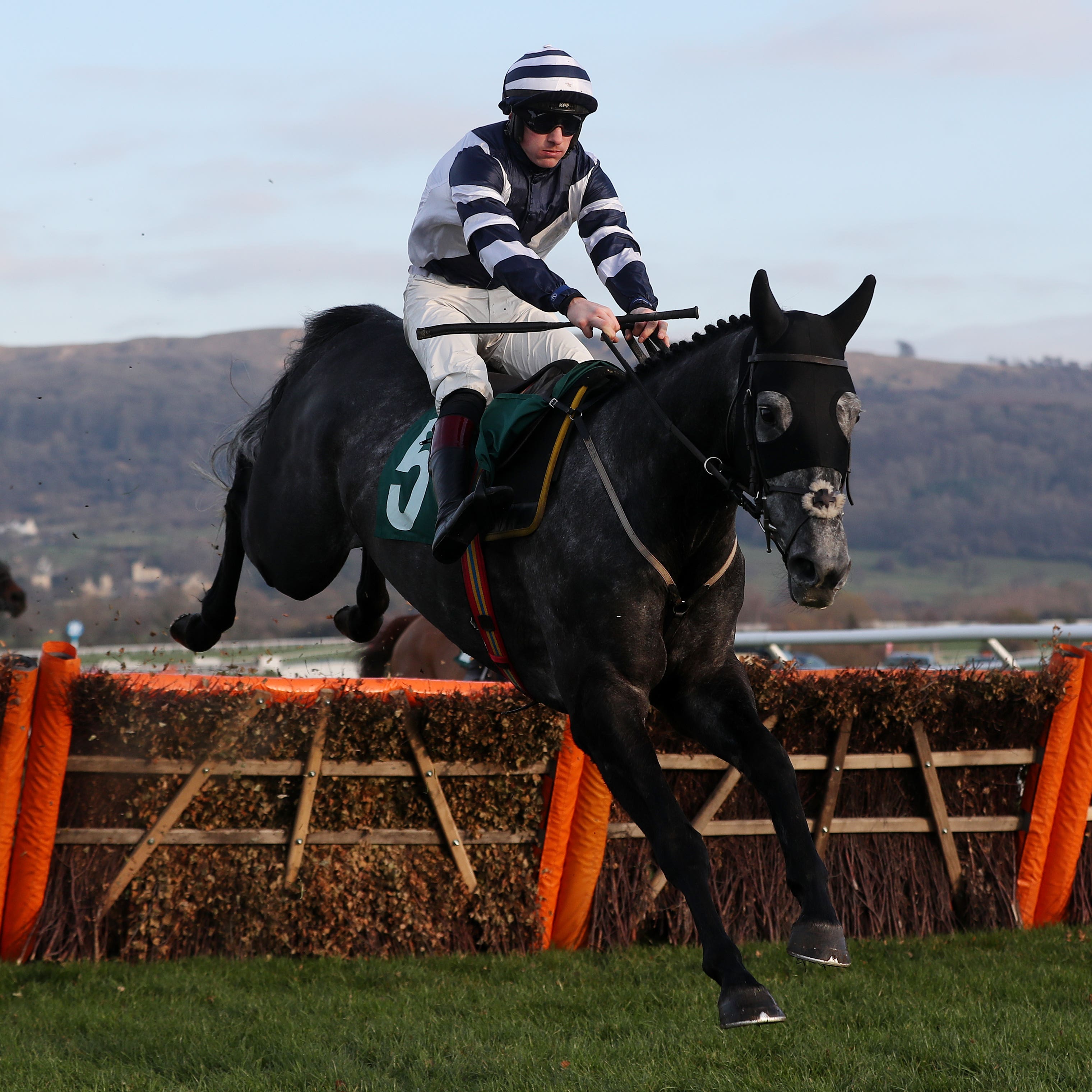 Al Dancer on his way to winning at Cheltenham