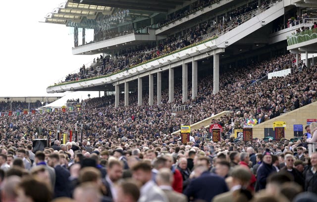 A huge crowd will be in attendance at Cheltenham